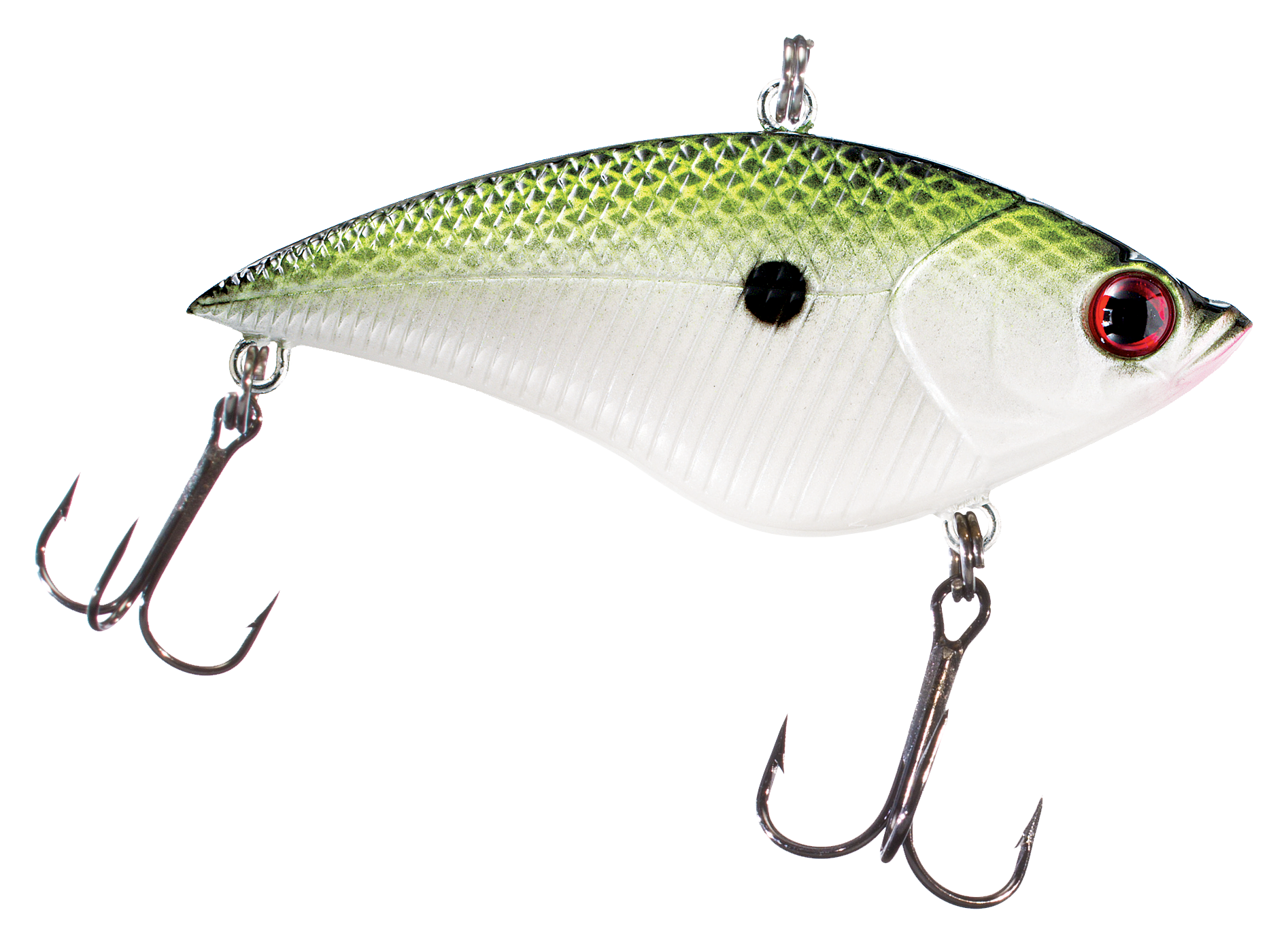 Bass Pro Shops XPS Rattle Shad Cabela's